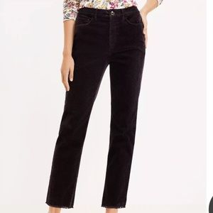 LOFT Straight Corduroy Pant in Plum